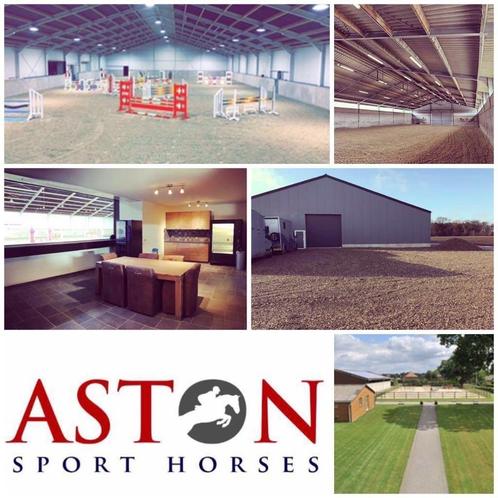 Volpension stallen te huur in Oudsbergen, Dieren en Toebehoren, Stalling en Weidegang, Stalling, 4 paarden of pony's of meer