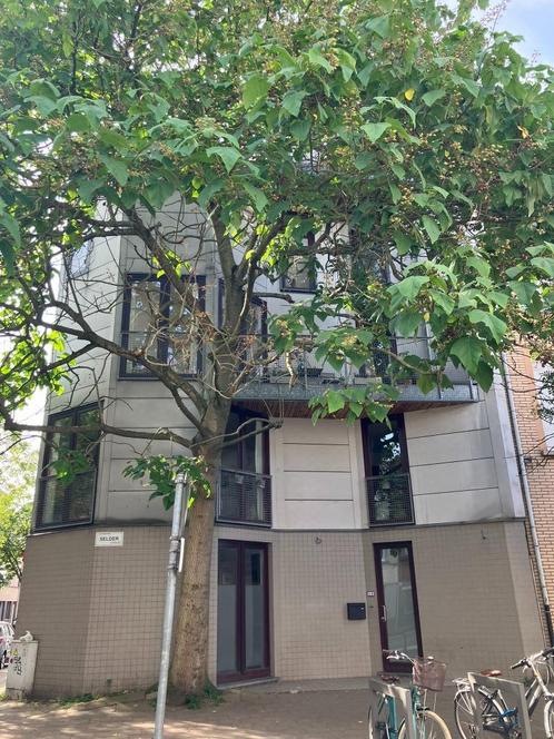Lichtrijk hoekpand vlak bij Park Spoor Noord, Immo, Huizen en Appartementen te koop, Antwerpen (stad), Hoekwoning, B