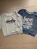 2 truien large, Kleding | Dames, Ophalen of Verzenden, Zo goed als nieuw, Maat 42/44 (L)
