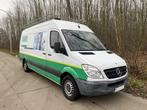 Mercedes-Benz Sprinter 313 CDI MAXI / Trekhaak / Dakdrager, Propulsion arrière, 95 kW, Achat, 3 places