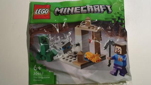 Lego Minecraft 30647 – De Druipsteengrot, Kinderen en Baby's, Speelgoed | Duplo en Lego, Nieuw, Lego, Complete set, Ophalen of Verzenden