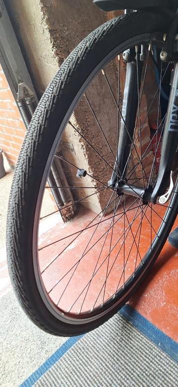 Mountainbike MINERVA beschikbaar voor biedingen