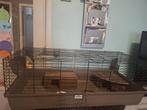 Kooi voor cavia, Dieren en Toebehoren, Ophalen, Kooi, Cavia, 110 cm of meer