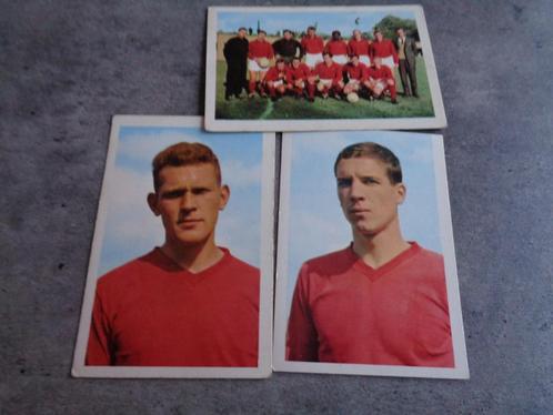 CARTES DE FOOTBALL, édition 1963, MAPLE LEAF STANDARD LIÈGE, Hobby & Loisirs créatifs, Autocollants & Images, Comme neuf, Envoi