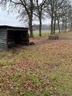 Weide te huur voor paarden, Dieren en Toebehoren, Stalling en Weidegang, Weidegang, 2 of 3 paarden of pony's