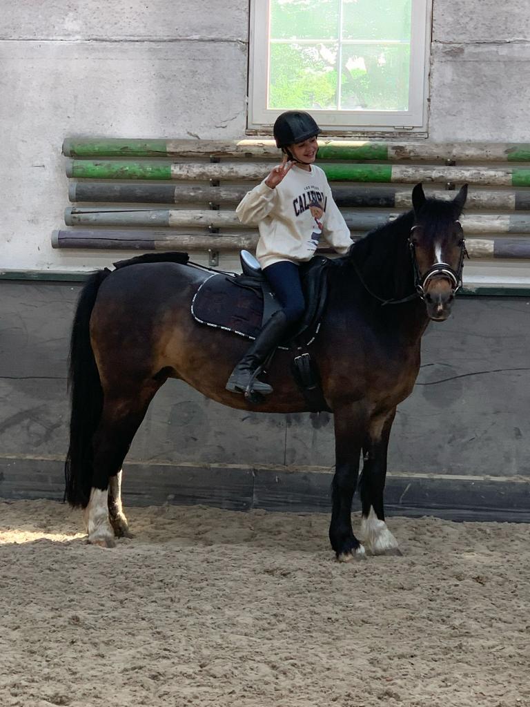 Brave D pony merrie te koop, Dieren en Toebehoren, Pony's