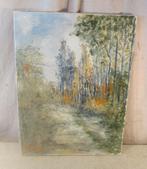 Œuvre magnifiquement peinte « Marais et arbres » - Peeraer, Enlèvement ou Envoi