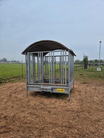 Hooiruif paarden patura
