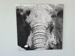 Canvas olifant Namibië - 60 cm X 60 cm, Huis en Inrichting, Woonaccessoires | Wanddecoraties, Ophalen of Verzenden, Nieuw