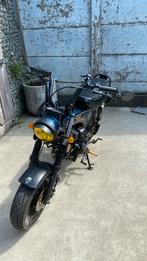 Bluroc/Dax 50cc, Ophalen, Overige modellen, Nieuw, 49 cc