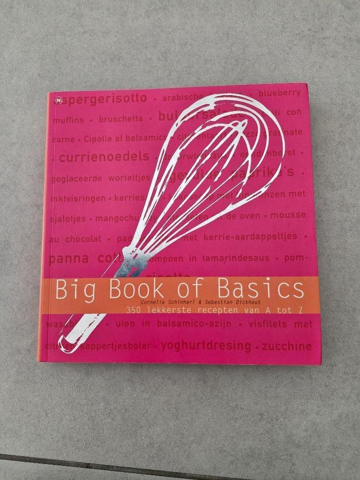 Big Book of Basics - 350 lekkerste recepten van A tot Z, Boeken, Kookboeken, Zo goed als nieuw, Ophalen of Verzenden