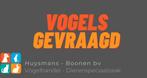 Europese vogels GEVRAAGD