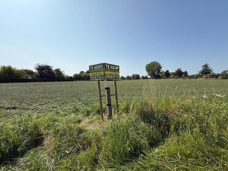 Exclusieve bouwgrond in Hamme (9220), Immo, Gronden en Bouwgronden, 1000 tot 1500 m², Verkoop zonder makelaar
