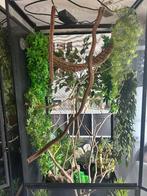 Flexarium, Dieren en Toebehoren, Reptielen en Amfibieën | Toebehoren, Ophalen, Gebruikt