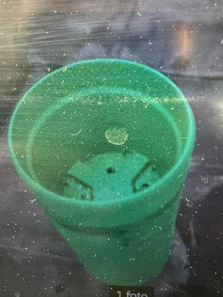 bloempot, Ophalen, Rond