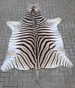 Groot decoratief ZEBRAVEL - afgemaakt met zwart vilt, Ophalen, Gebruikt, 150 tot 200 cm, 200 cm of meer