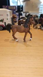 Schleich horse club Arabier hengst, Ophalen of Verzenden, Zo goed als nieuw