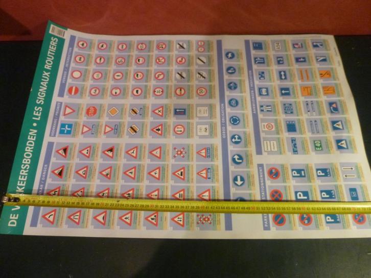 Educatieve posters bos dieren dino koning wereld, Verzamelen, Posters, Zo goed als nieuw, Overige onderwerpen, A1 t/m A3, Ophalen