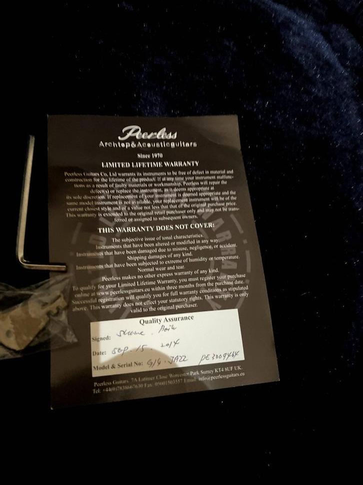 Jazzgitaar, Muziek en Instrumenten, Snaarinstrumenten | Gitaren | Elektrisch, Zo goed als nieuw, Hollow body, Overige merken, Ophalen