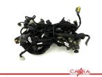 KABELBOOM MV Agusta Brutale 1090 RR 2009 (01-2009/-), Motoren, Gebruikt