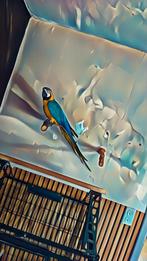 Echange avec vehicule ou a vendre lire annonces