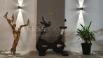 Technogym Bike 1000 Excite+ Unity LIVE Fitness fiets, ZGAN, Sport en Fitness, Fitnessmaterialen, Overige typen, Rug, Zo goed als nieuw