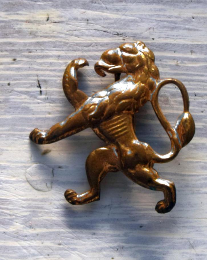 Insigne met leeuwenbaret van het Belgische leger, Verzamelen, Militaria | Algemeen, Landmacht, Embleem of Badge, Ophalen of Verzenden