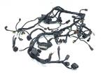 KABELBOOM Multistrada 1200 S 2010-2012 (MTS1200 1200S), Motoren, Onderdelen | Ducati, Gebruikt