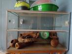 Gerbilarium - Terrarium (80x50x50) met toebehoren, Ophalen, Gebruikt