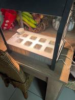 Kas voor snelgroeiende led, Ophalen, Zo goed als nieuw, Kweekkas