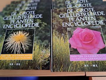 De grote geïllustreerde plantenencyclopedie beschikbaar voor biedingen
