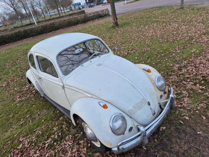Volkswagen kever cox 1962, Auto's, Oldtimers, Bedrijf, Volkswagen, Ophalen of Verzenden