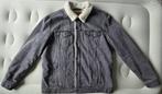 Jacket Jean Grey Levi's Man XL L, Maat 56/58 (XL), Ophalen of Verzenden, Grijs, Gedragen