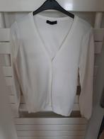 Witte gilet, Ophalen of Verzenden, Maat 38/40 (M)