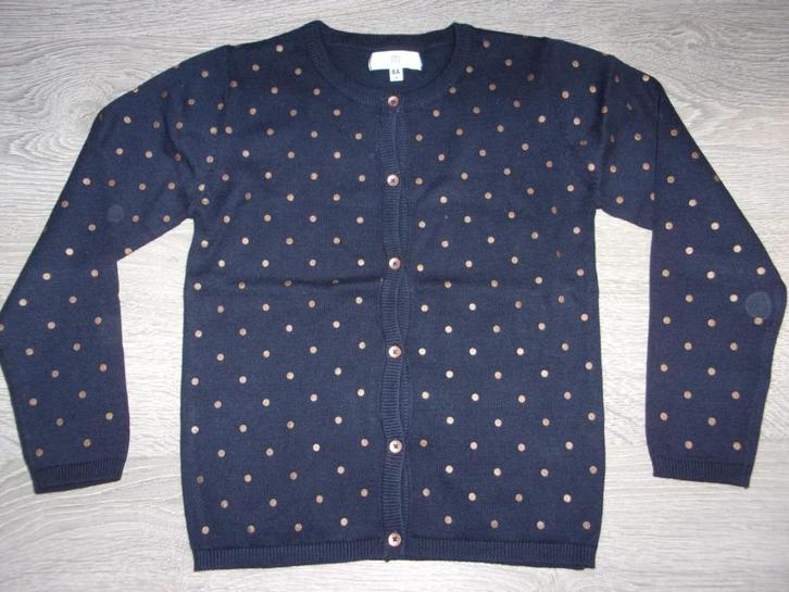SPLINTERNIEUW meisjes gilet. Maat 128, Kinderen en Baby's, Kinderkleding | Maat 128, Nieuw, Meisje, Trui of Vest, Ophalen of Verzenden