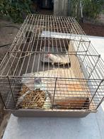 Konijnen/hamsterkooi, Ophalen