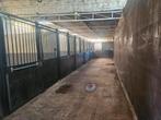 Stallen te huur in Lommel – Volpension of Leegverhuur, Dieren en Toebehoren