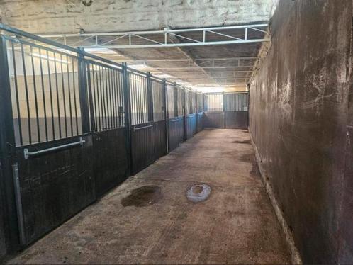 Stallen te huur in Lommel – Volpension of Leegverhuur, Dieren en Toebehoren, Stalling en Weidegang