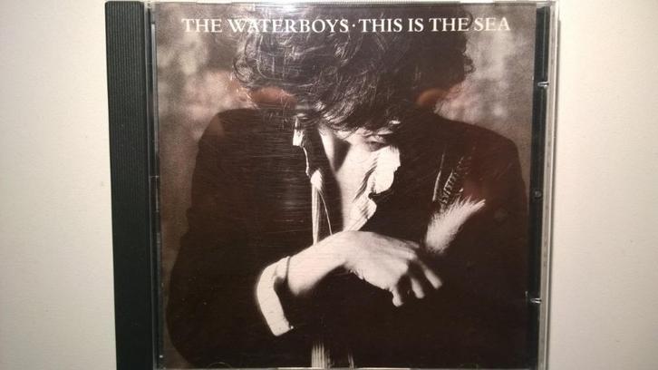 The Waterboys - This Is The Sea, Cd's en Dvd's, Cd's | Pop, Zo goed als nieuw, 1980 tot 2000, Ophalen of Verzenden