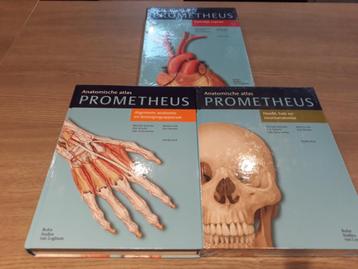 Prometheus anatomische atlas 3 delen beschikbaar voor biedingen