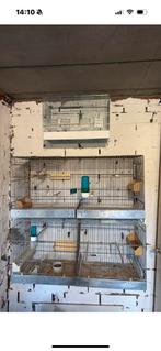 2 kweekkooien van 90cm, Dieren en Toebehoren, Vogels | Hokken en Kooien, Ophalen, Gebruikt, Metaal, Broedkooi of Kweekkooi