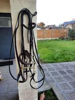 Hoofdstel Stang Trens full, Ophalen, Nieuw, Dressuur