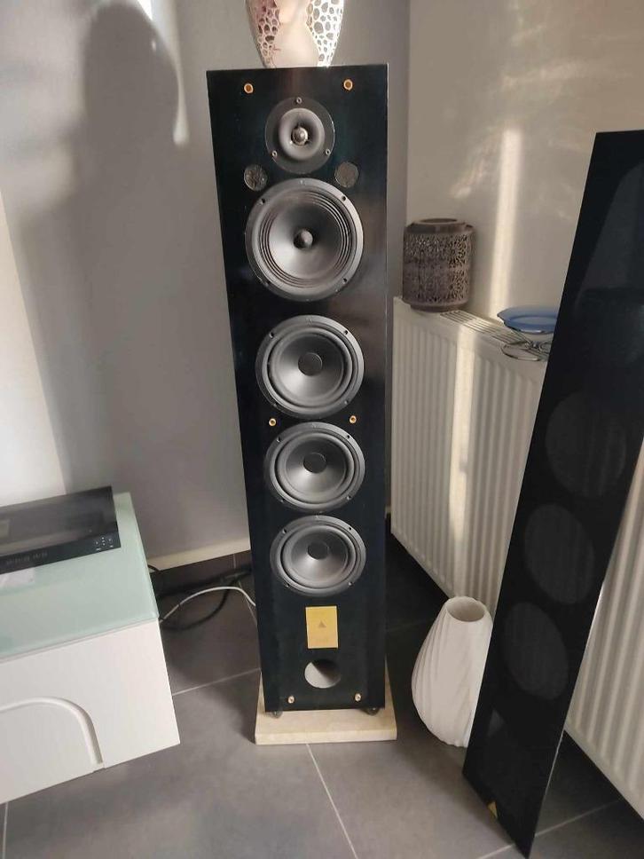 Enceintes Triangle Lyrr, Audio, Tv en Foto, Luidsprekerboxen, Zo goed als nieuw, Front, Rear of Stereo speakers, 120 watt of meer