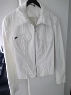 Veste femme blanche taille petit, Vêtements | Femmes, Enlèvement ou Envoi, ZNJ, Taille 36 (S), Porté