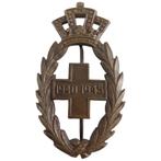 Belgique - Palmes en bronze de la Croix-Rouge de Belgique, Collections, Autres, Enlèvement ou Envoi, Ruban, Médaille ou Ailes