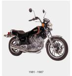 Yamaha XV 750 SE - 5G5 1981 1982 1983 1984 1986 1987, Motoren, Motoren | Yamaha, Particulier, Overig