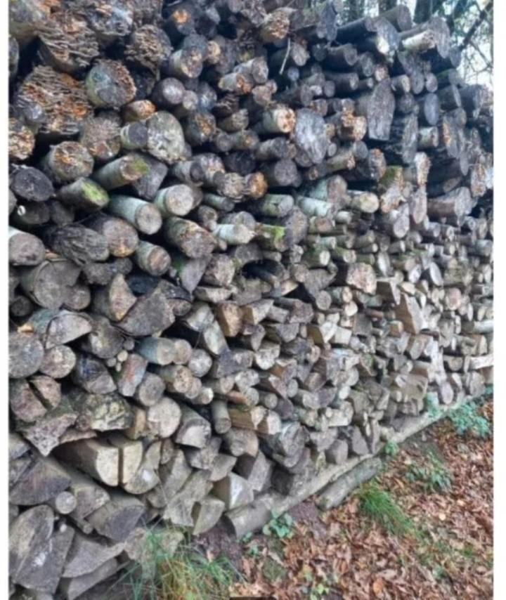 Bois chauffage sec, Jardin & Terrasse, Bois de chauffage, Bûches, Chêne, 3 à 6 m³, Enlèvement