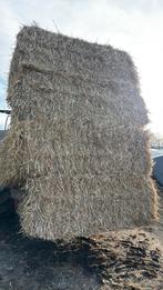 Kleine/ grote  pakjes stro te koop, Enlèvement, Bétail