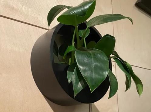 Plantenwandhouder, Huis en Inrichting, Woonaccessoires | Vazen, Nieuw, Wit, 75 cm of meer, Kunststof, Ophalen of Verzenden