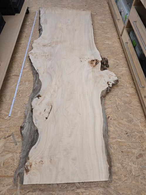 Plataan perfect gevlakt met cnc, Doe-het-zelf en Bouw, Hout en Planken, Nieuw, Ophalen